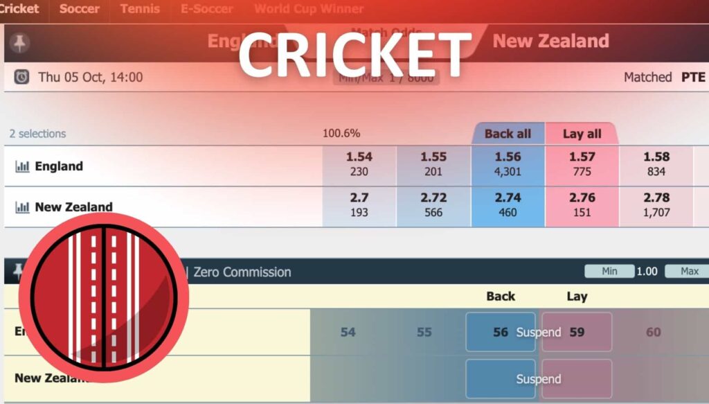 Marvelbet India Cricket betting option overview